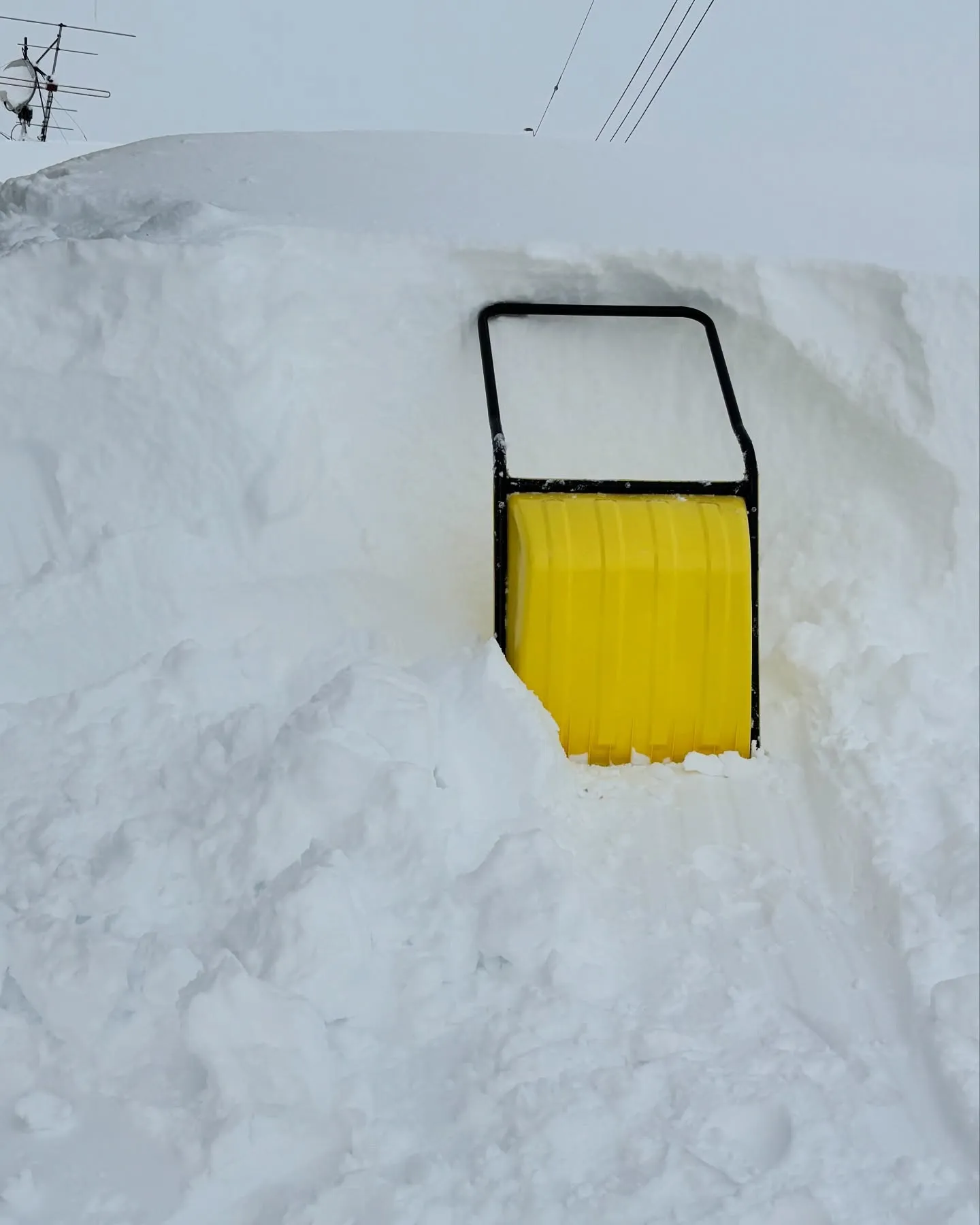 やっと屋根の雪降ろしました😭