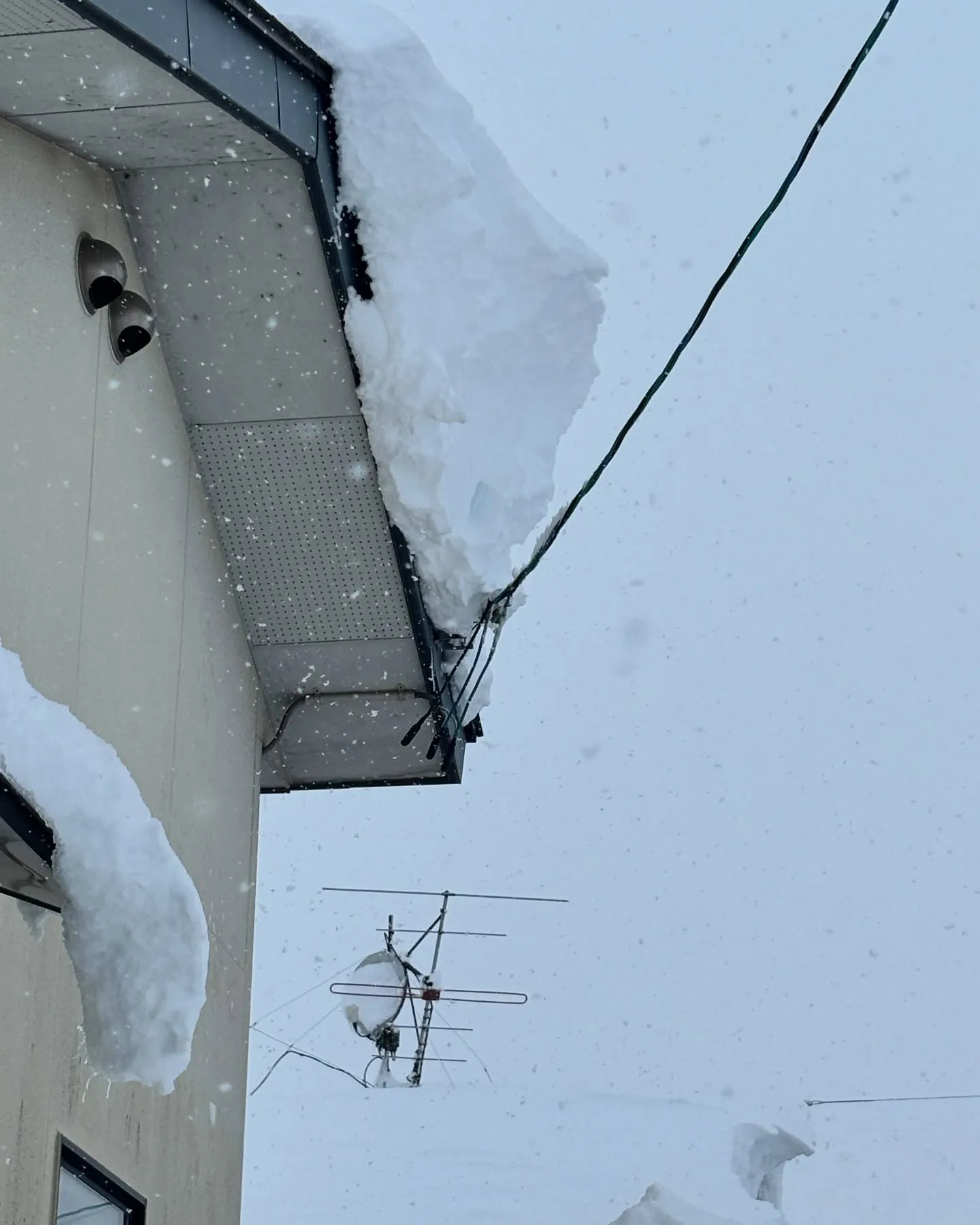 やっと屋根の雪降ろしました😭