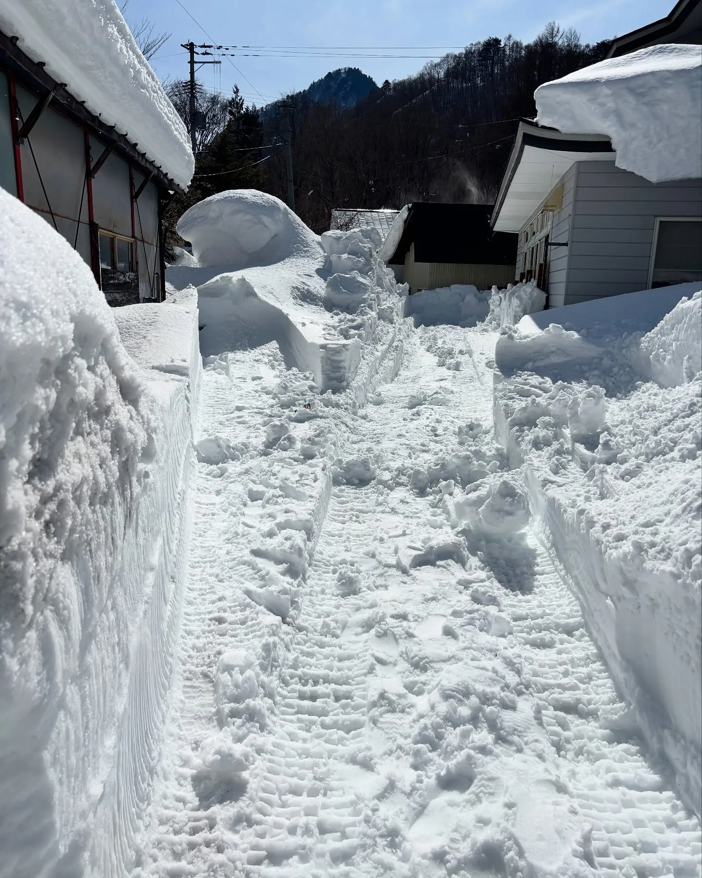 今日は実家の除雪行きました👍