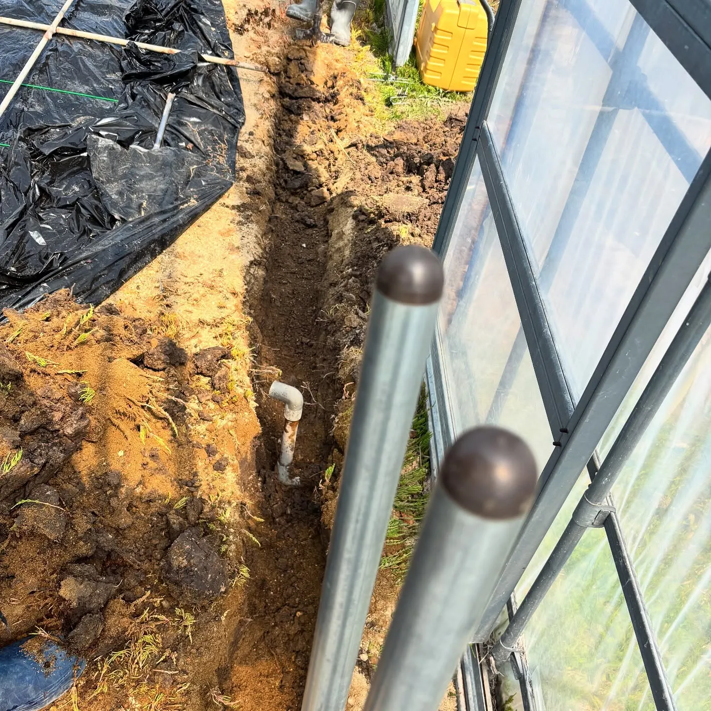 先日若松のプレハブの内部補修工事現場に行き、昼に「とんがらし...