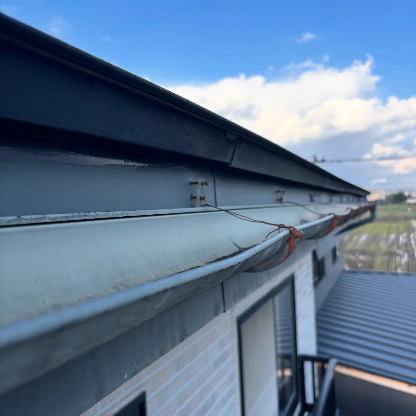 先日若松のプレハブの内部補修工事現場に行き、昼に「とんがらし...