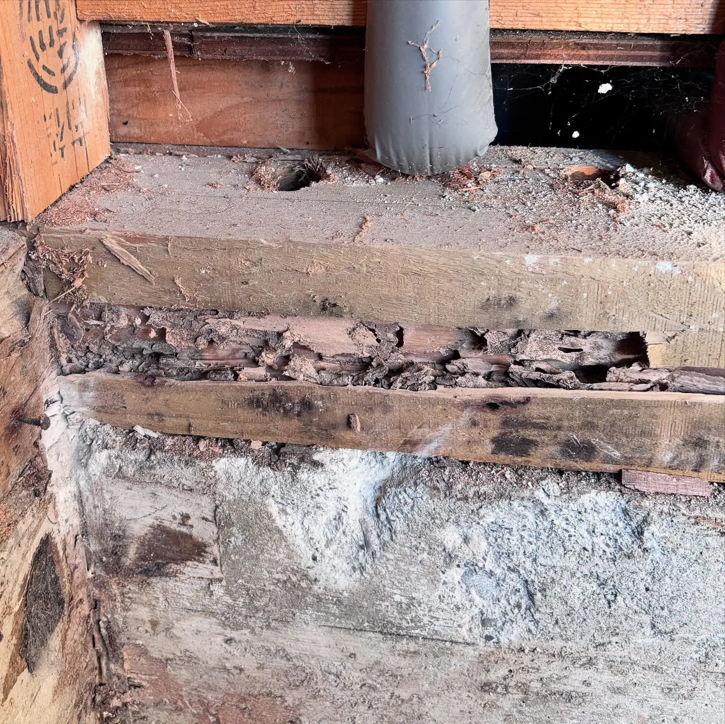 今日夕方ユニットバス工事現場に現調に行ってきました🫡