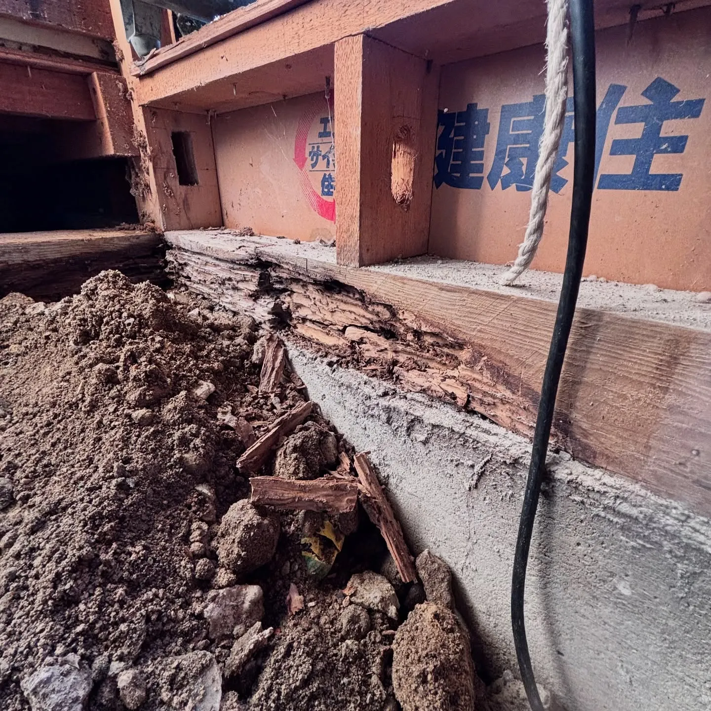 今日夕方ユニットバス工事現場に現調に行ってきました🫡