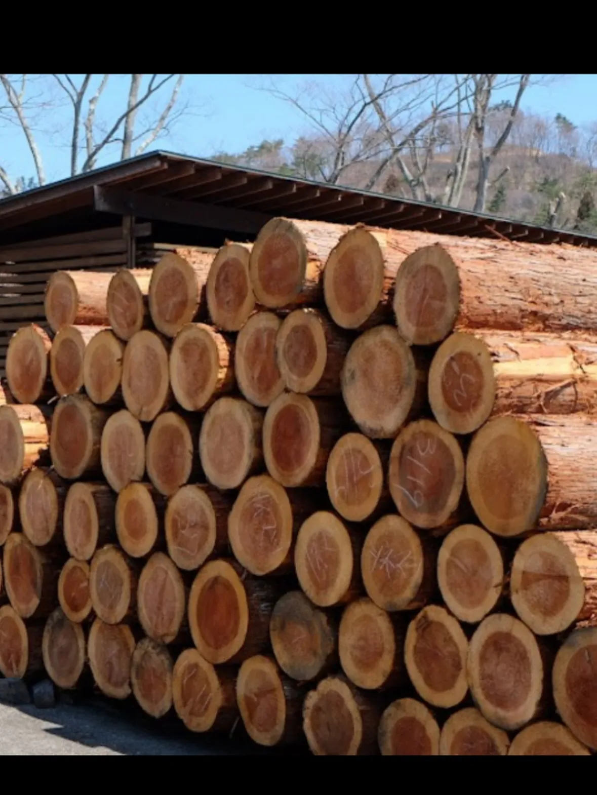 🏡アカウント名変更のお知らせ✨ 