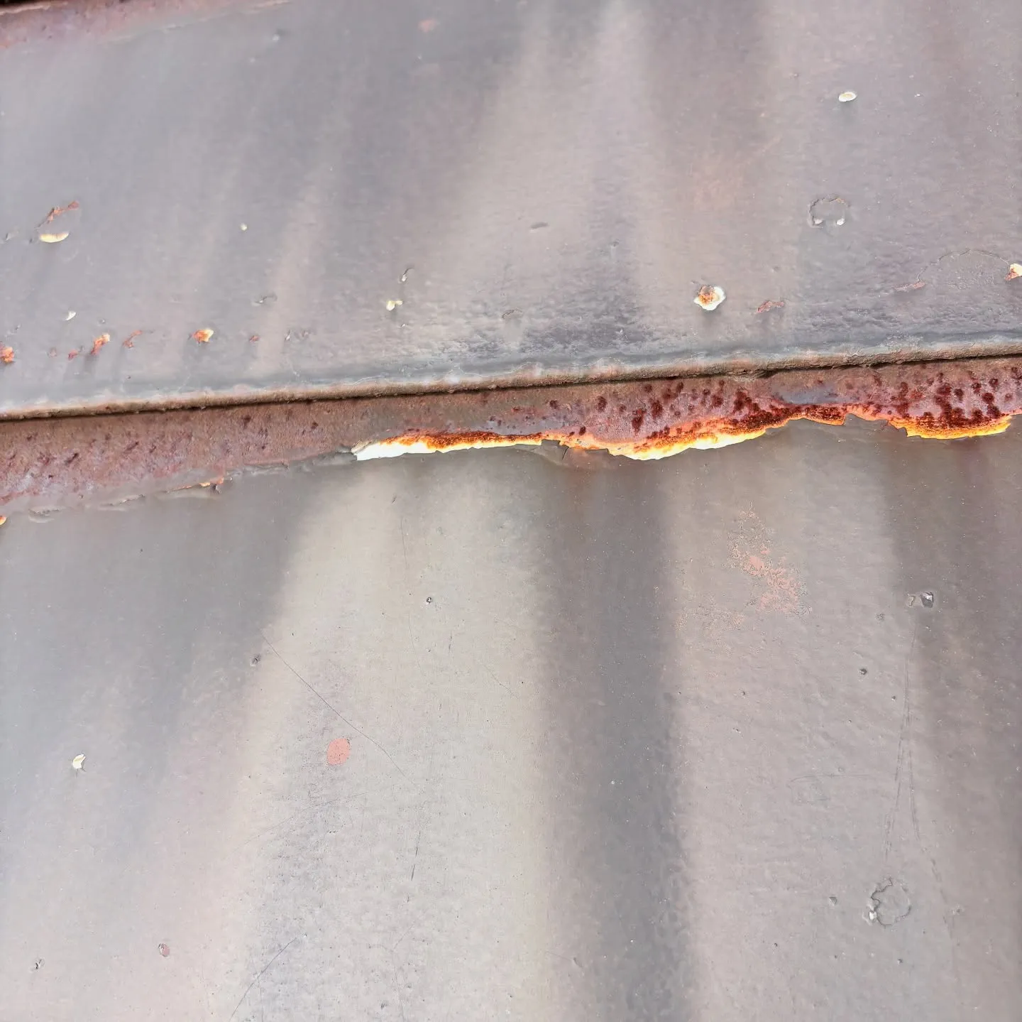 お彼岸の中日、祝日でしたが、どうしても気になっていた現場へ。