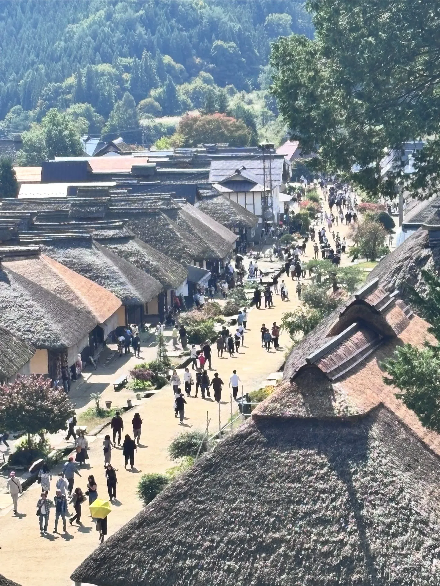 今日は、娘夫婦とお父さんたちが来てくれたので、情緒あふれる大...