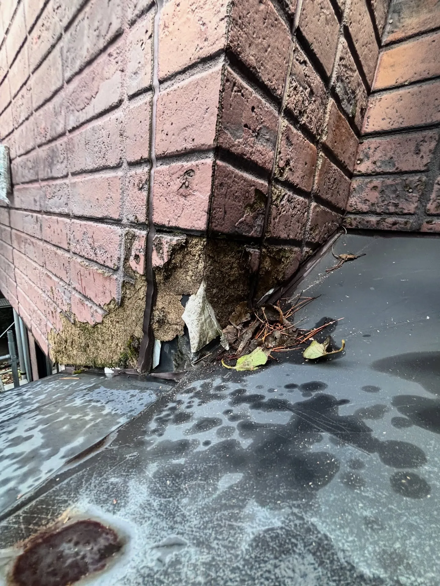 年数とともに傷みが出ていた外壁を、今回しっかりと張り替えさせ...