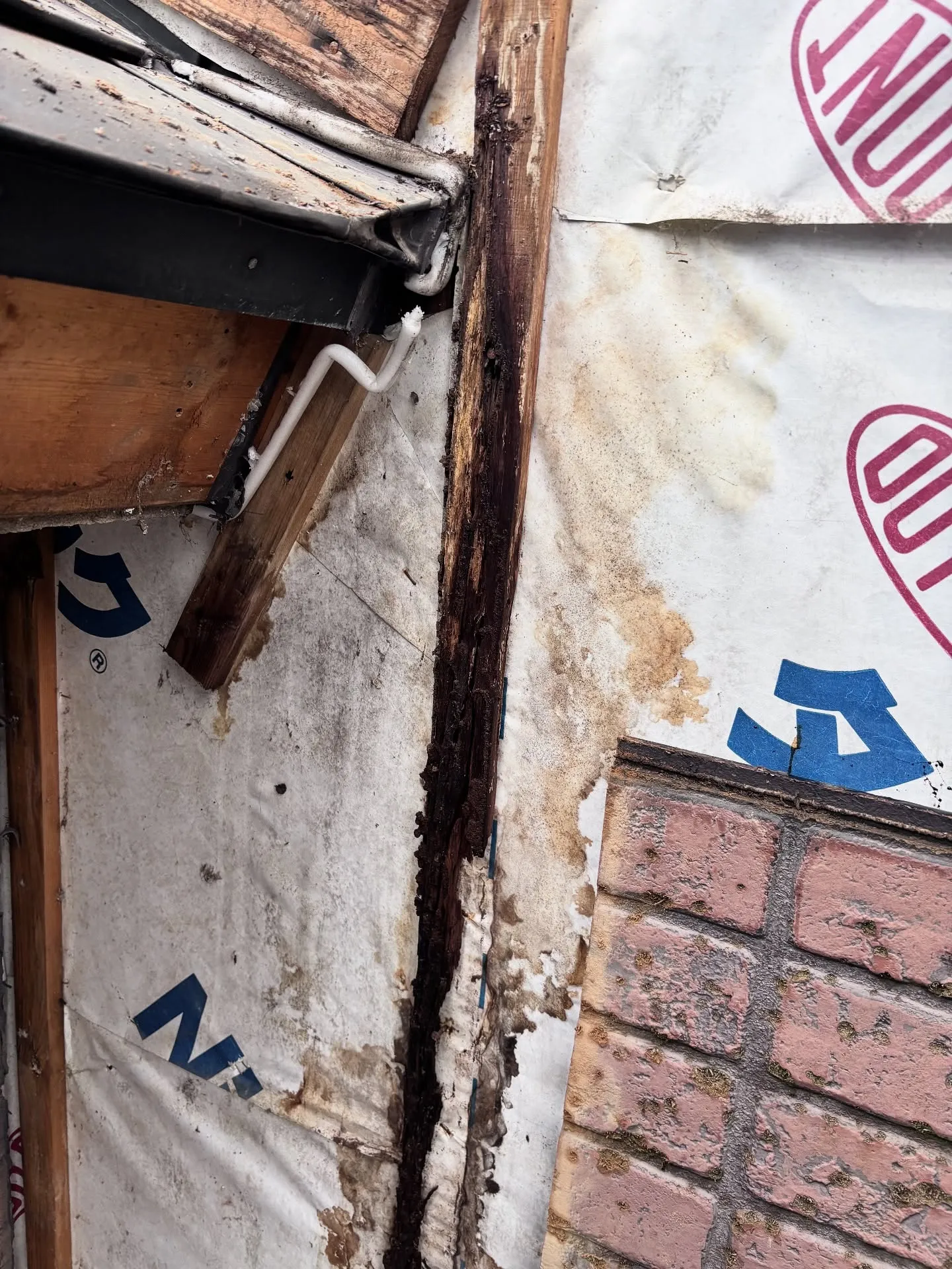 今日はサイディング張替えの現場でした😊