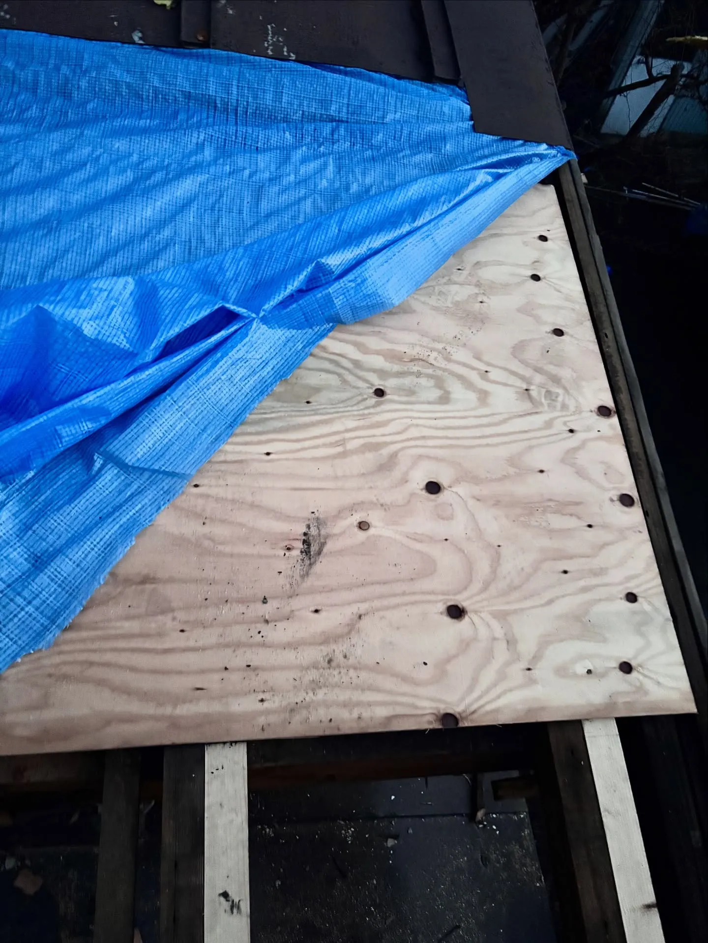 折れた屋根がまるで