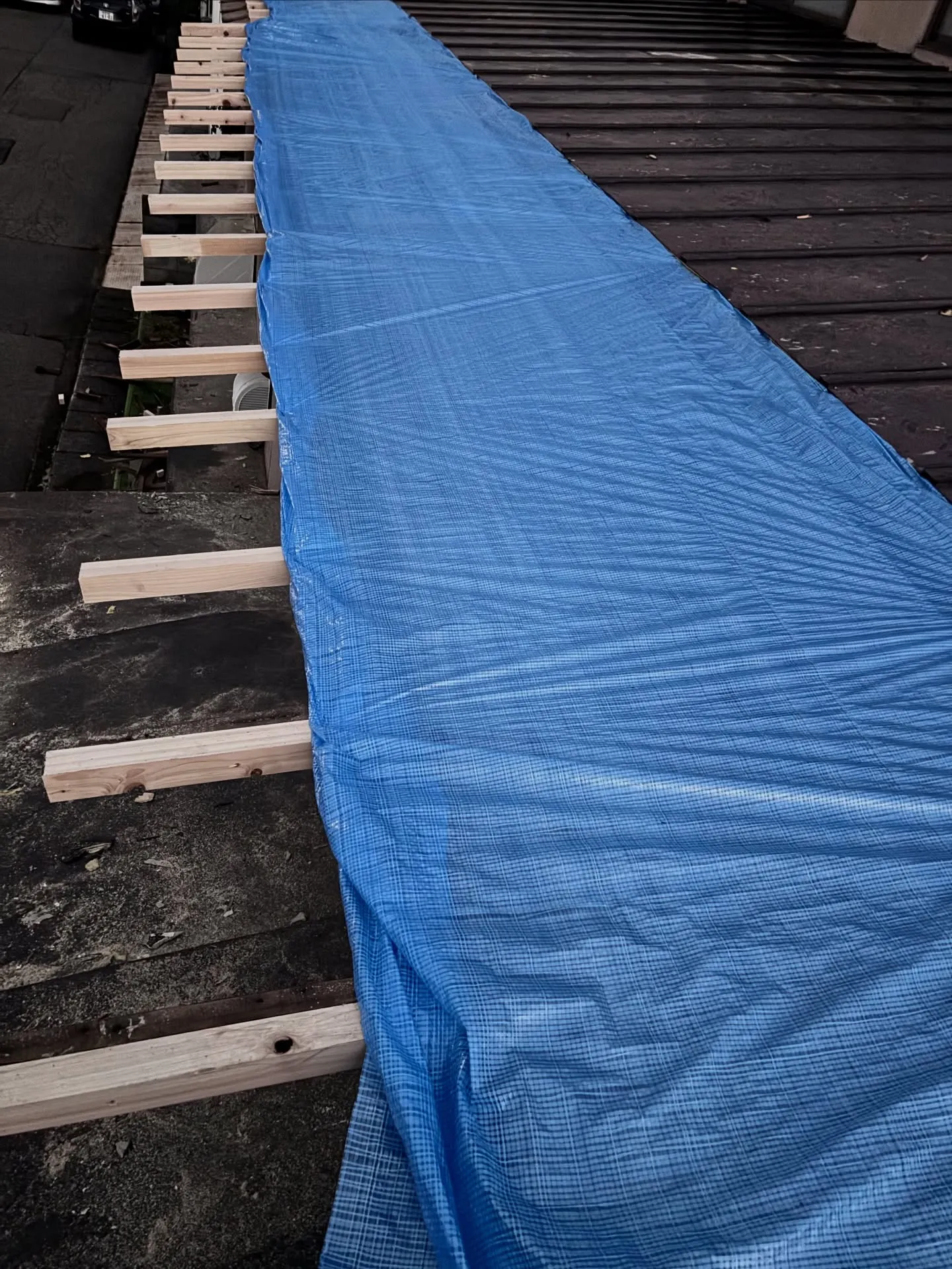 折れた屋根がまるで