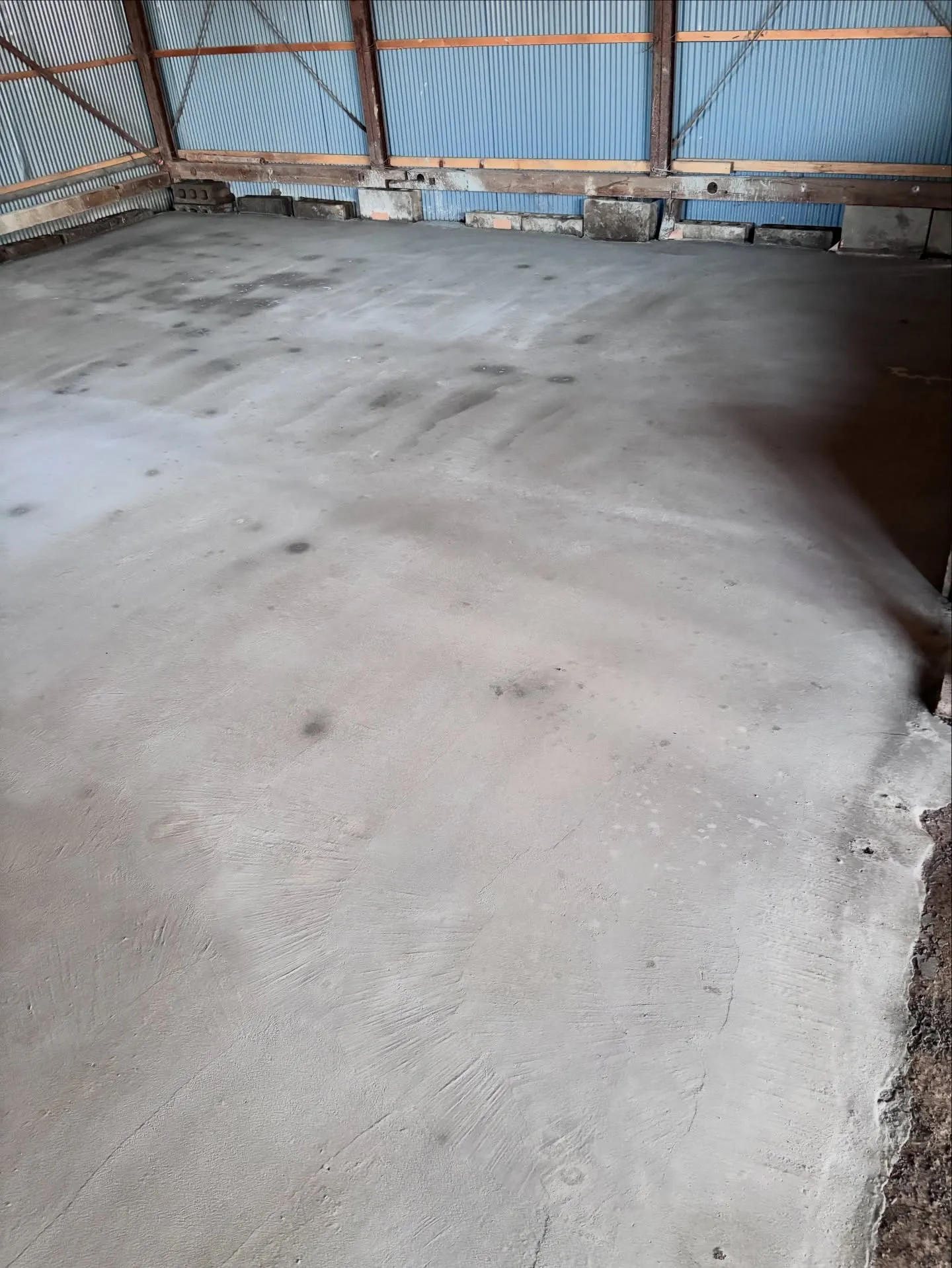 土曜日に打った土間、いい感じに締まってきた。