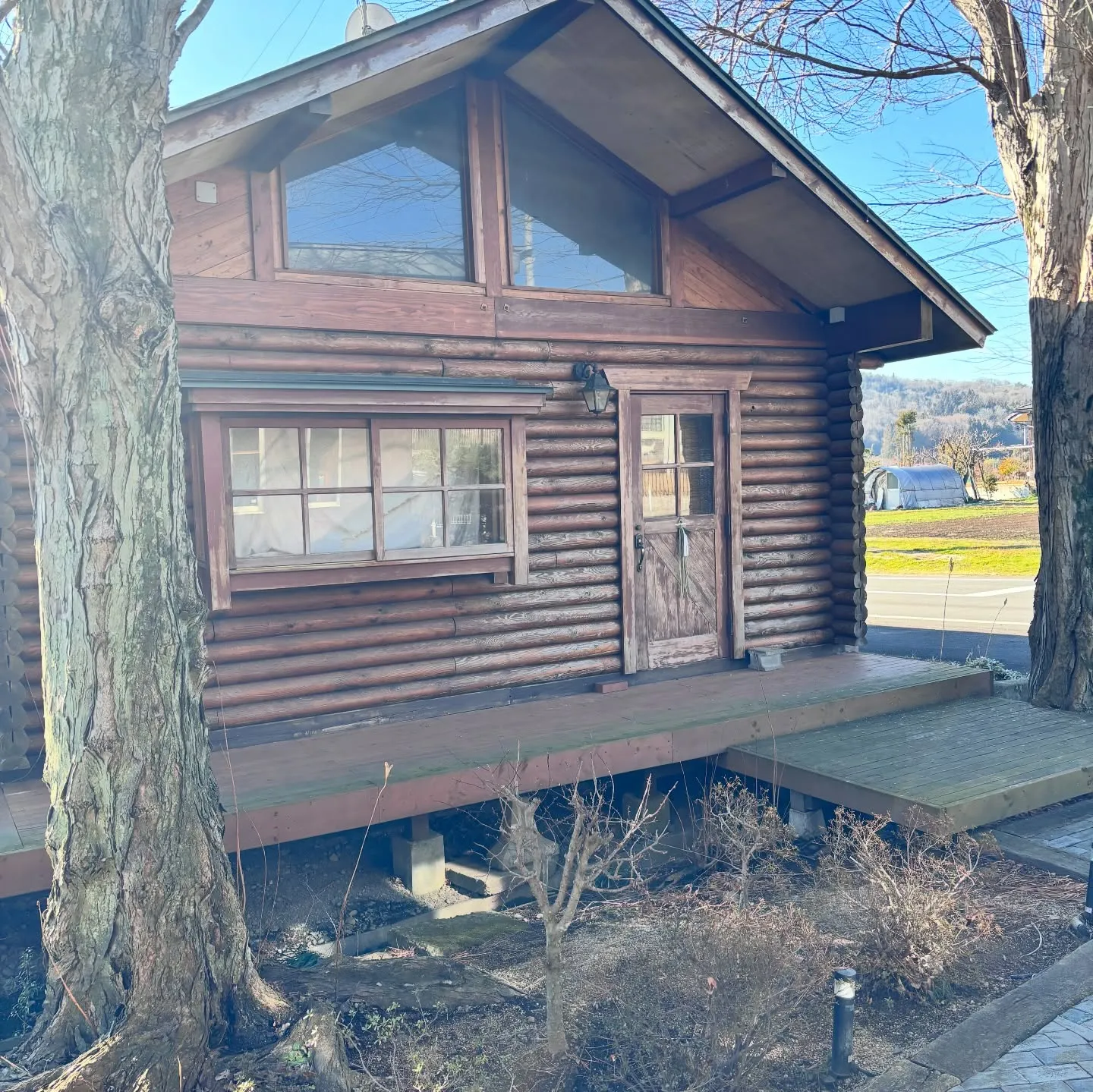 会社は休みになったけど、相談役が正月飾りを🎍