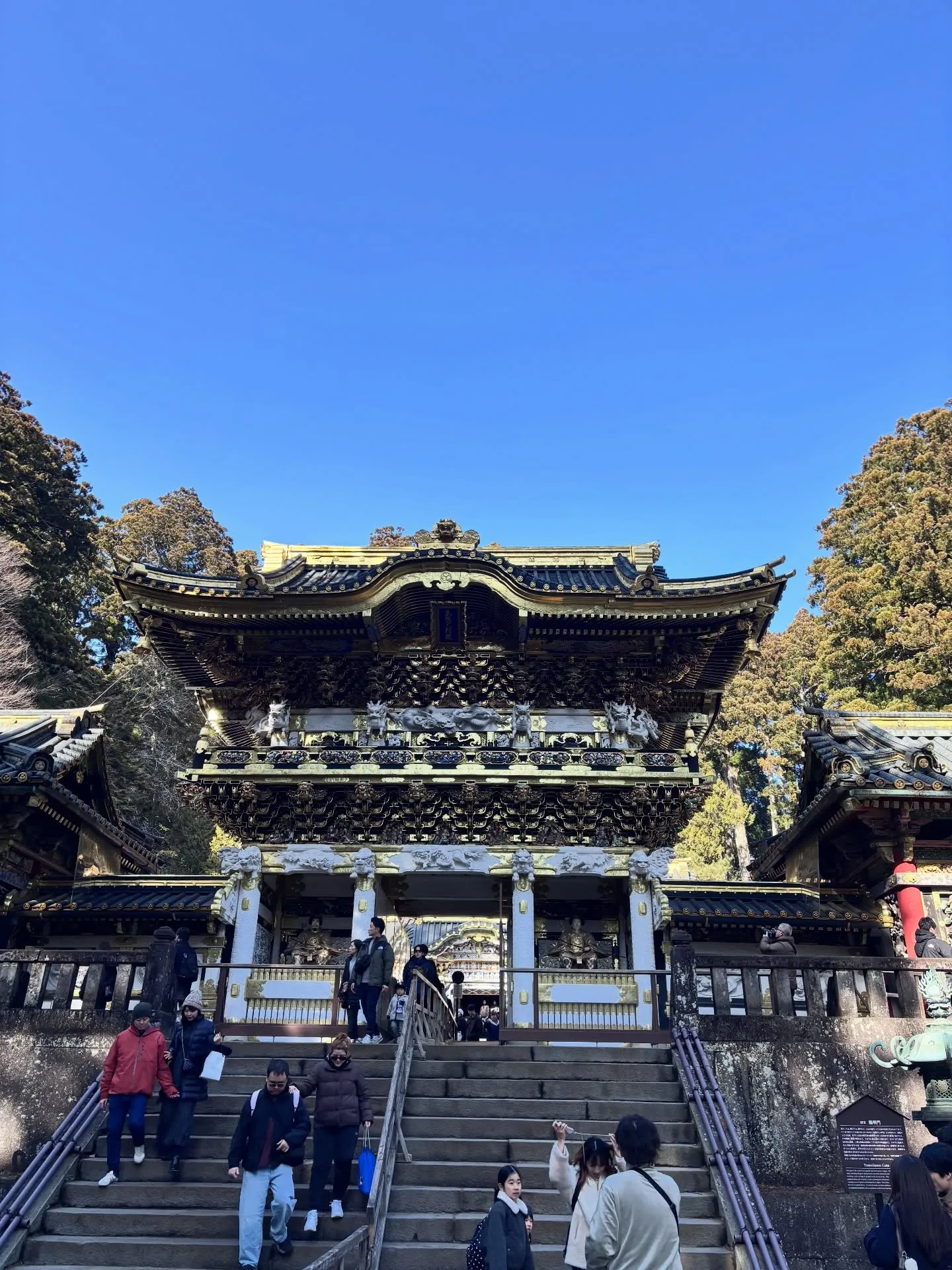 今日は久しぶりのお出かけ。