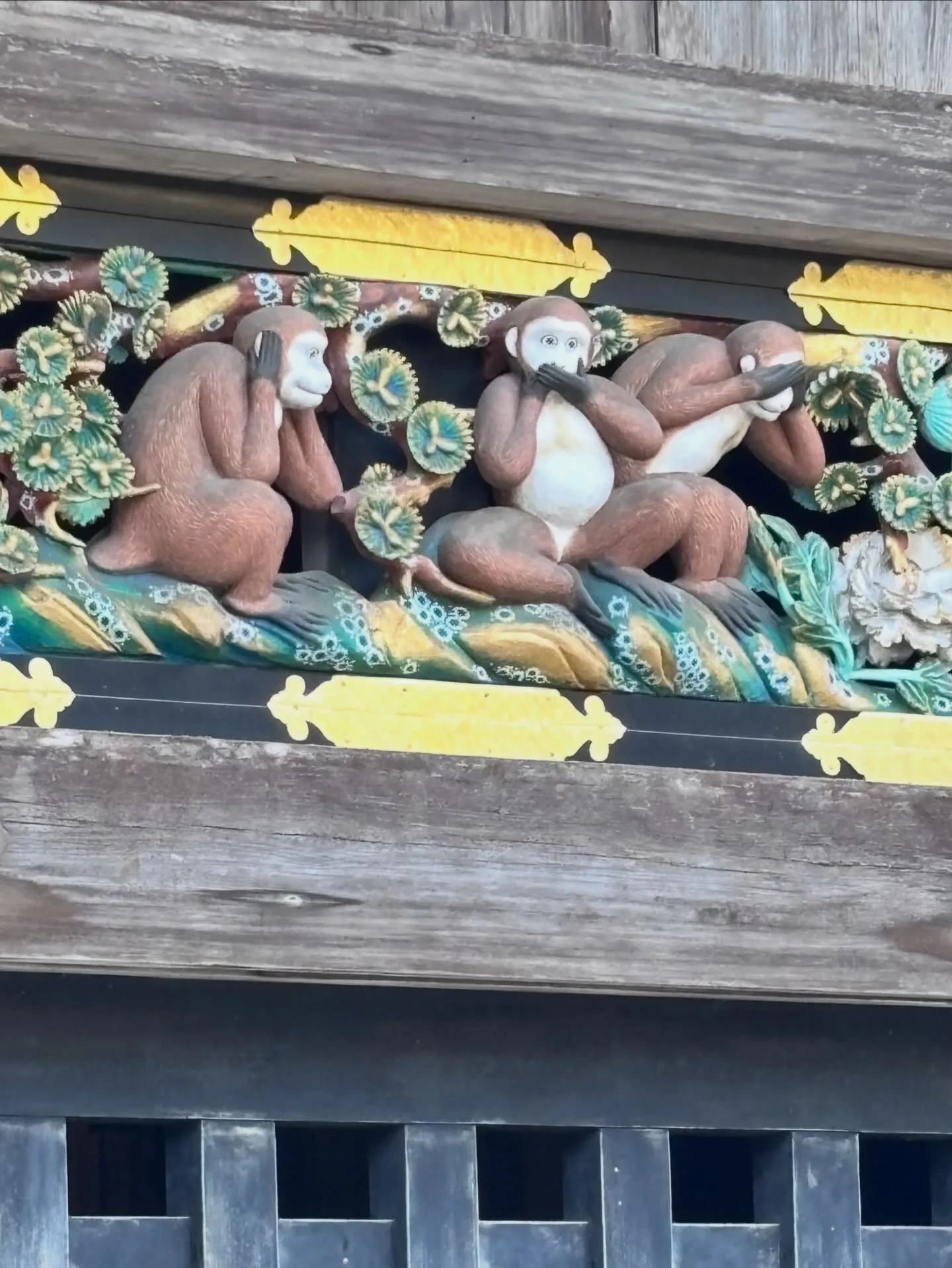 今日は久しぶりのお出かけ。