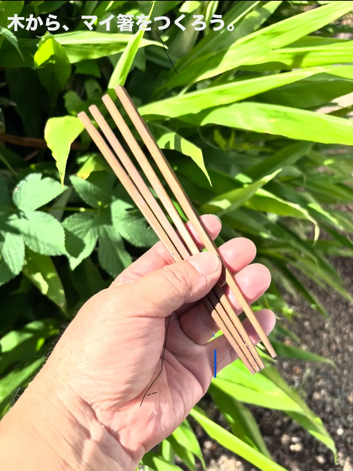 🌳 夏休み、木に触れてみませんか？