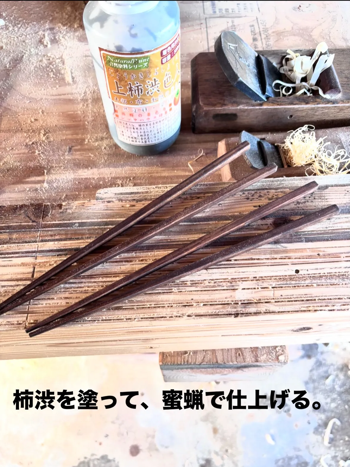 🌳 夏休み、木に触れてみませんか？